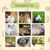 Tutuviw 10 Pack Hamster Chew Stones,1.7in Rabbit Teeth Molar Grinding Stones,Pet Chew Stones,Bunny Lava Blocks,Teeth Grinding Lava Calcium Block for Small Animal Chinchilla Guinea Pig Rabbit