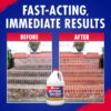 (2 pack)Outdoor Cleaner - Cleans Stains Caused by Algae, Mold and Mildew, 1 Gallon Concentrate
