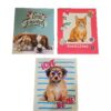 Lot Of 3; 2 Pocket School Folders; Puppy, Kitten, Bunny; Cute Retro Styles; New