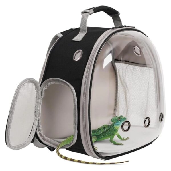 Portable Small Animal Travel Pet,Guinea Pig Backpack,Reptile Travel Backpack for Bearded Dragon Lizards Sugar Glider Hedgehog Rat Squirrel s,Breathable Handbag Airline Approved (Black, Backpack)
