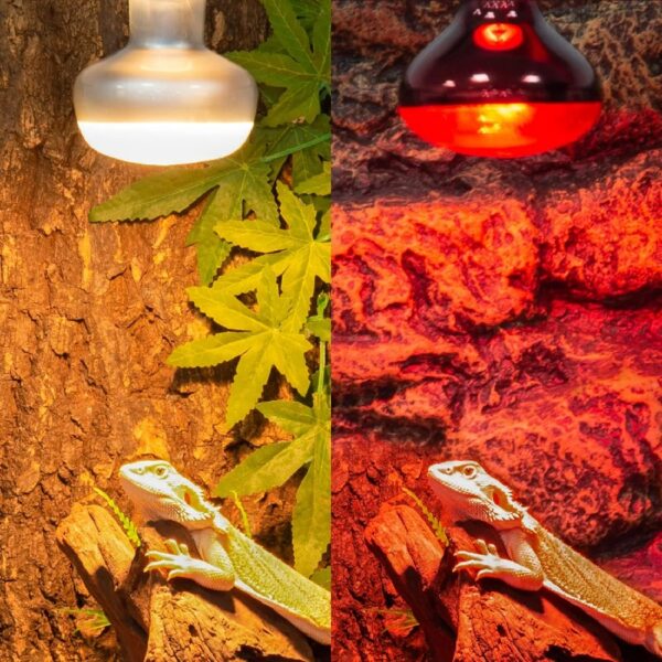 ECOSUB Dual Reptile Light Fixture Combo Pack, With 100W UVA Daylight and Infrared Heating Lamp