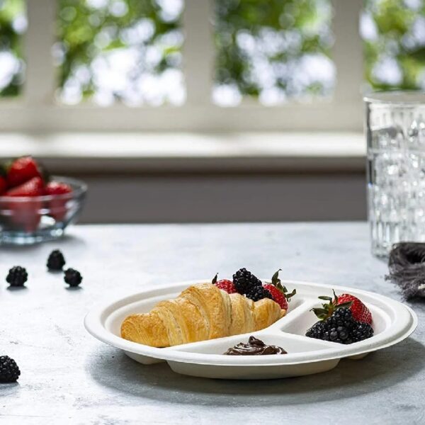 Round Plates Disposable Heavy Duty Paper Plates Bulk, 125-Pack
