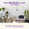 (2 pack)  Ultra Bed Bug & Flea Killer Aerosol Formula, 17.5 Ounces