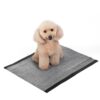 Activated Charcoal Leak-Resistant Training Pads for Dogs, 23in x 23in, 100 Count