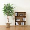 DR.Planzen 5 feet Artificial Ficus Tree, Tall Lifelike Greenery with Natural Wood Trunk for Living Room, office floor and corner decor