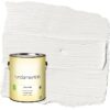 Fundamentals Commercial White / White Semi-Gloss Interior Paint, 1 Gallon