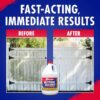 (2 pack)Outdoor Cleaner - Cleans Stains Caused by Algae, Mold and Mildew, 1 Gallon Concentrate