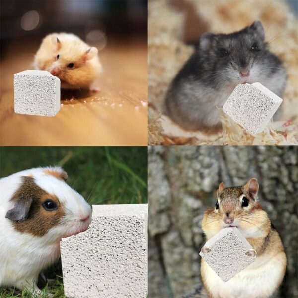 Tutuviw 10 Pack Hamster Chew Stones,1.7in Rabbit Teeth Molar Grinding Stones,Pet Chew Stones,Bunny Lava Blocks,Teeth Grinding Lava Calcium Block for Small Animal Chinchilla Guinea Pig Rabbit