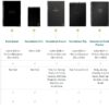 Rocketbook Fusion Smart Reusable Spiral Notebook, Black, Letter Size Eco-Friendly Notebook (8.5