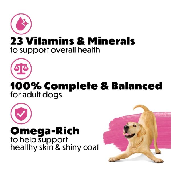 Purina  Originals with Natural Salmon Natural Dry Dog Food Formula with Added Vitamins, Minerals and Nutrients, 14 lb Bag