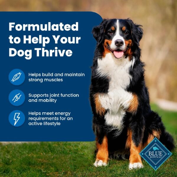 Buffalo Life Protection Formula Adult Dry Dog Food, Chicken & Brown Rice, 15 lbs.
