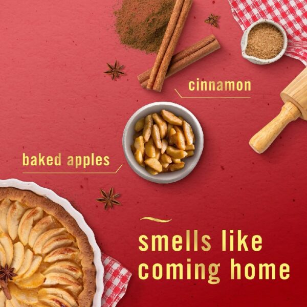 Small Spaces Air Freshener, Odor-Fighting, Baked Cinnamon Apples, (2 Pack of 2 Count)