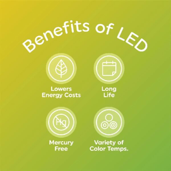 A19 LED Light Bulbs, 75 Watts Eqv, Soft White, General Purpose, 9yr, Medium Base, 12 pack