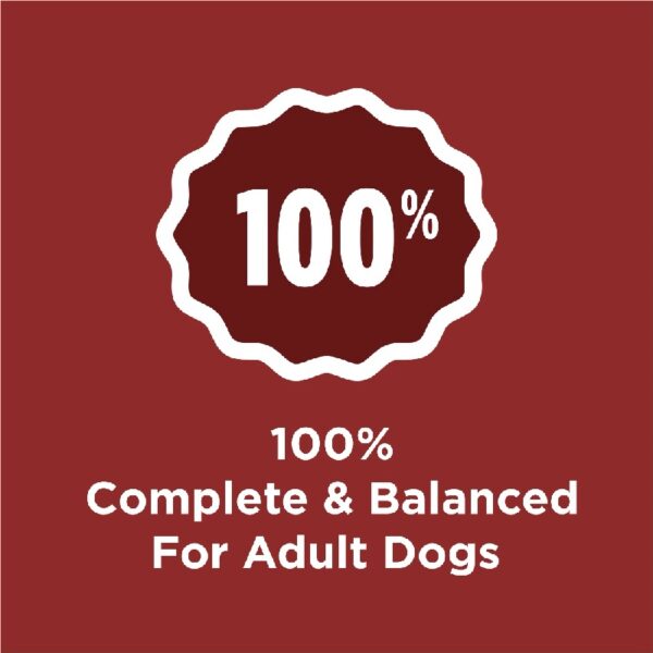 Purina  Complete Adult Dry Dog Food for Adult Dogs, Kibble Beef Flavor, 44 lb Bag