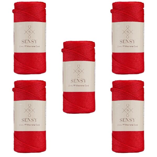 5 Skeins of Sensy Premium 2mm 251 Yards Polyester Rope 100% Polypropylene Cord Macrame Cord 2mm Crochet Bag Cord Macrame Rope Crochet Thread Gift for Knitter (Latte)