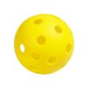 Wood Pickleball Starter Set for All Ages and Levels to Learn to Play, Black