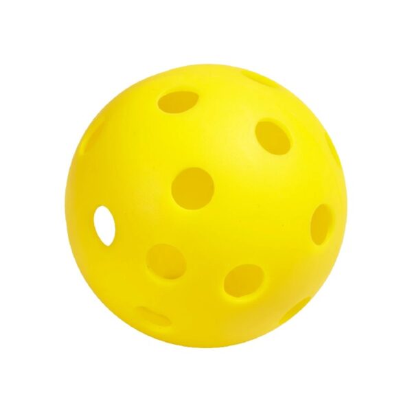 Wood Pickleball Starter Set for All Ages and Levels to Learn to Play, Black