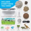 NATIONAL GEOGRAPHIC Light Up Dinosaur Terrarium Kit for Kids with Real Plants, Fossils & More, for Unisex Children (Age Group: 6 to 12 years)