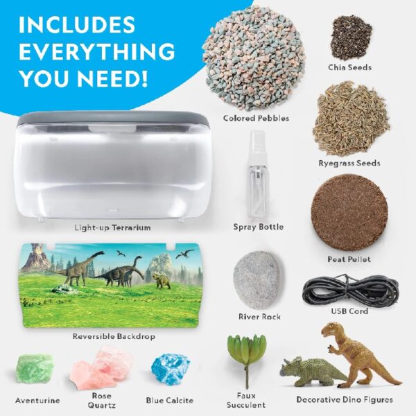 NATIONAL GEOGRAPHIC Light Up Dinosaur Terrarium Kit for Kids with Real Plants, Fossils & More, for Unisex Children (Age Group: 6 to 12 years)
