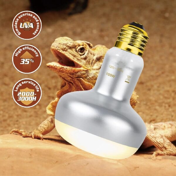 ECOSUB Dual Reptile Light Fixture Combo Pack, With 100W UVA Daylight and Infrared Heating Lamp