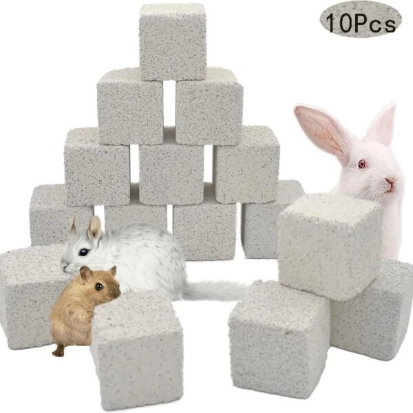 Tutuviw 10 Pack Hamster Chew Stones,1.7in Rabbit Teeth Molar Grinding Stones,Pet Chew Stones,Bunny Lava Blocks,Teeth Grinding Lava Calcium Block for Small Animal Chinchilla Guinea Pig Rabbit