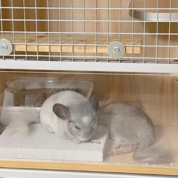 2PC Rabbit Scratching Pad for Small Pets - Lava Pumice Chew Toy for Guinea , Ferret, Hedgehog, Chinchilla, Hamster