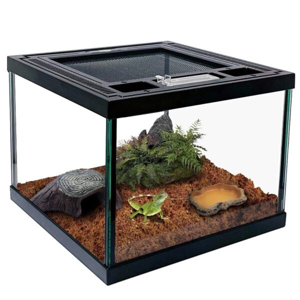 Mini Reptile Glass Terrarium Tank 8 * 8 * 6