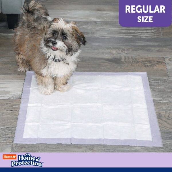 Hartz  Lavender Scent Odor-Eliminating Dog Pads, Regular Size, 21 in x 21 in, 50ct
