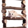 Exotic Nutrition Woodland Accessory Bundle - Natural Wood Chewing Cage Toys - Chinchilla, Hamster, Squirrel, Gerbil, & More Small Pets