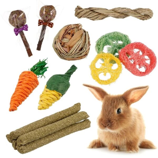 14Pcs Rabbit Toy for Teeth, Bunny Toys, Rabbit Chew Toys, Bunny Chew Toys for Teeth, Loofah Wood Sticks Ball Toys for Rabbits, Guinea Pig, Chinchilla