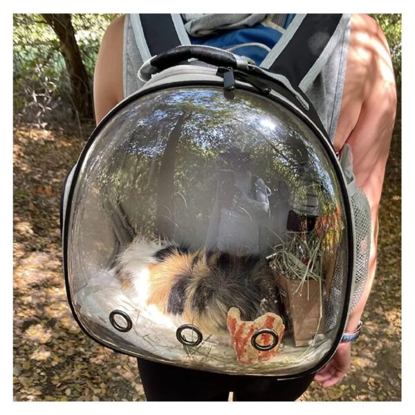 Portable Small Animal Travel Pet,Guinea Pig Backpack,Reptile Travel Backpack for Bearded Dragon Lizards Sugar Glider Hedgehog Rat Squirrel s,Breathable Handbag Airline Approved (Black, Backpack)
