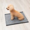 Activated Charcoal Leak-Resistant Training Pads for Dogs, 23in x 23in, 100 Count