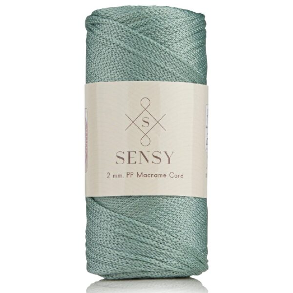 5 Skeins of Sensy Premium 2mm 251 Yards Polyester Rope 100% Polypropylene Cord Macrame Cord 2mm Crochet Bag Cord Macrame Rope Crochet Thread Gift for Knitter (Latte)