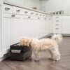 IRIS USA 13Lbs/12qt Medium Elevated Dog Food Bowl with Airtight Pet Food Storage Container, Black