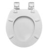 Round Slow-Close Toilet Seat in White