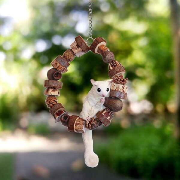 Exotic Nutrition Woodland Accessory Bundle - Natural Wood Chewing Cage Toys - Chinchilla, Hamster, Squirrel, Gerbil, & More Small Pets