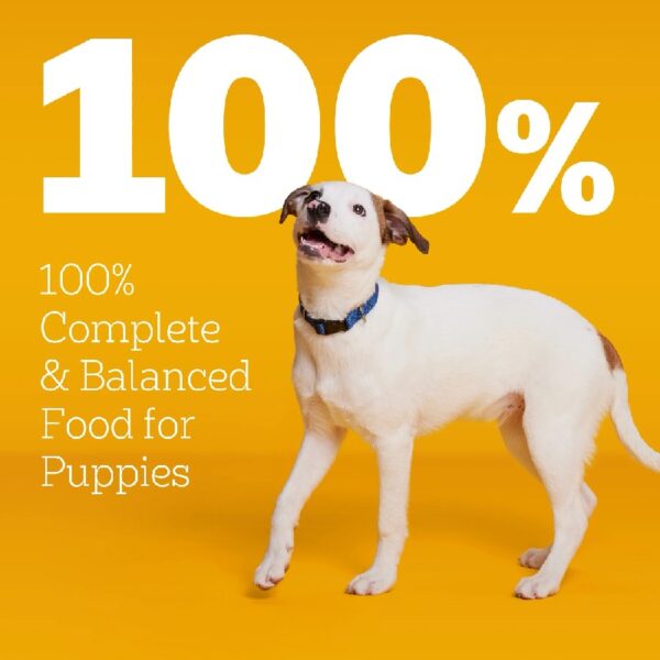 Puppy Growth And Protection Chicken And Vegetable Dry Dog Food For Puppies, 30 Lb Bag