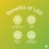 LED Light Bulbs, 60 Watt, Soft White, A19 Bulbs, Medium Base, Clear Finish, 13yr, 12 pack