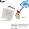 Tutuviw 10 Pack Hamster Chew Stones,1.7in Rabbit Teeth Molar Grinding Stones,Pet Chew Stones,Bunny Lava Blocks,Teeth Grinding Lava Calcium Block for Small Animal Chinchilla Guinea Pig Rabbit