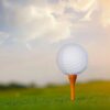 (4 pack) 15Pk White Hollow Practice Golf Balls