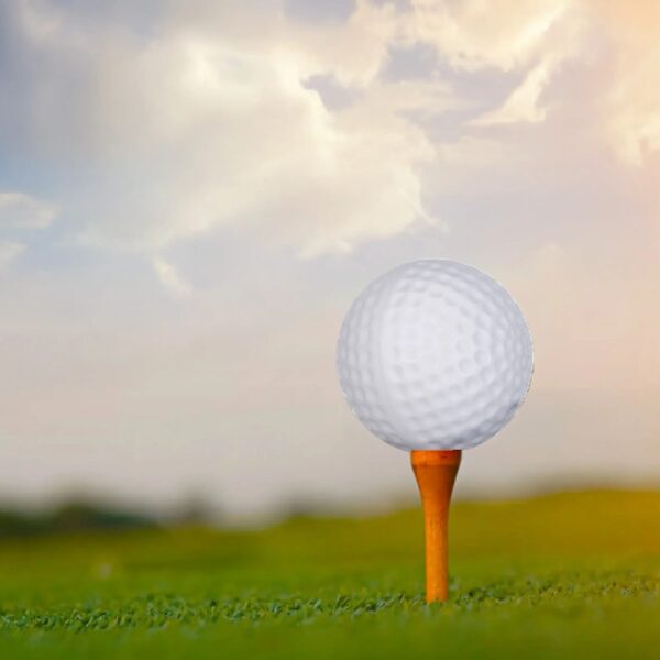 (4 pack) 15Pk White Hollow Practice Golf Balls