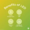 LED Light Bulbs, 100 Watt, Daylight, A19 Bulbs, Medium Base, Clear Finish, 13yr, 4 pack