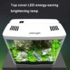 Aquarium Fish Tank No Water Change Self-circulating Ecological Fish Tank with Slient Pump Led Lamp