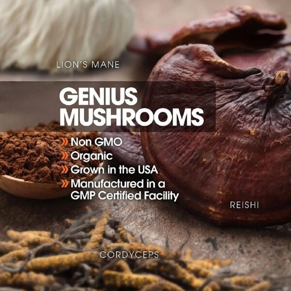 Mushroom Brain Supplement Nootropic with Lions Mane, Reishi, Cordyceps for Energy & Focus, Genius Mushrooms by