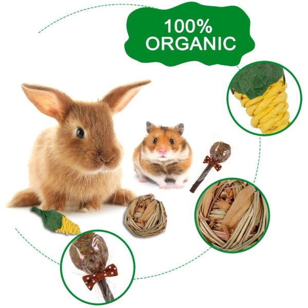 14Pcs Rabbit Toy for Teeth, Bunny Toys, Rabbit Chew Toys, Bunny Chew Toys for Teeth, Loofah Wood Sticks Ball Toys for Rabbits, Guinea Pig, Chinchilla