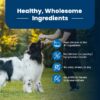 Buffalo Life Protection Formula Adult Dry Dog Food, Chicken & Brown Rice, 15 lbs.