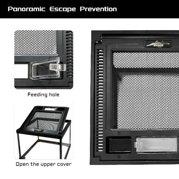 Mini Reptile Glass Terrarium Tank 8 * 8 * 6