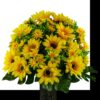 Sympathy Silks Artificial Flowers 20