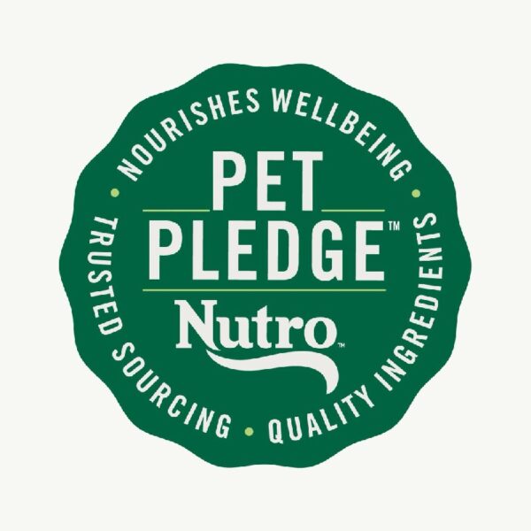 Natural Choice Adult Dry Dog Food, Chicken And Brown Rice Recipe 13 Lbs.