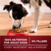 True Instinct Dry Dog Food for Adult Dogs, High Protein Real Turkey & Venison, 15 lb Bag